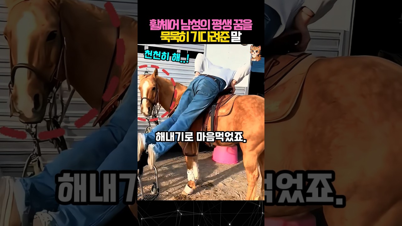 남성의 간절한 꿈을 알아챈 듯 꼼짝도 하지 않는 말 #말 #동물 #animal