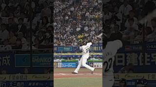 【今季26号ソロ】ポランコのパワーが魅せる低弾道！#chibalotte