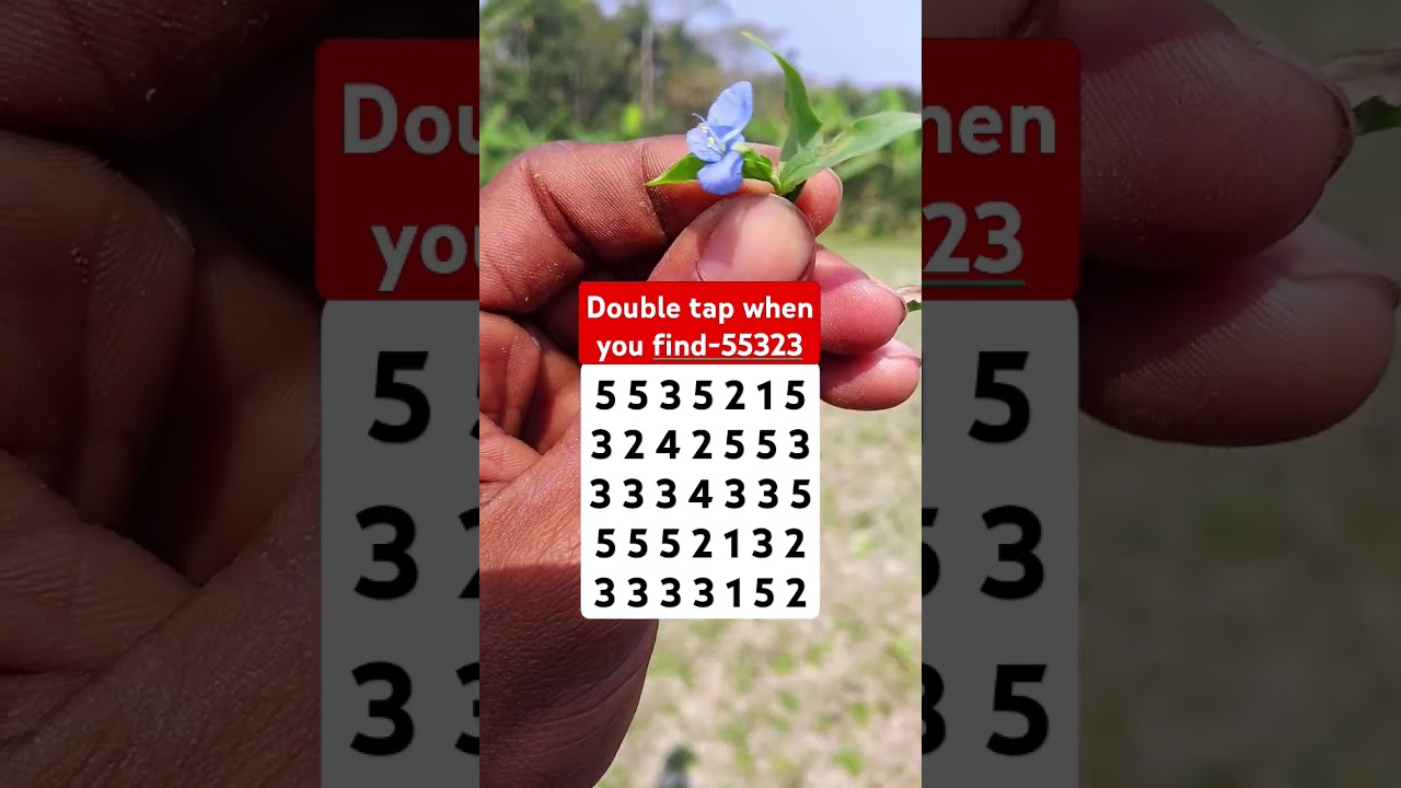 Double tap when you find-55323 