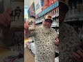 We are in Dallas Area, so I stopped by Scheels atThe Colony!