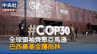 拯救森林基金啟動　全球領袖初步承諾投入50億美元