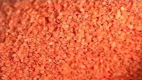 pulse and lentil color sorting