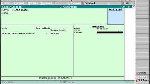 Accounting Software Tally in Bangla - Chart of Accounts , Ledger Create Part1