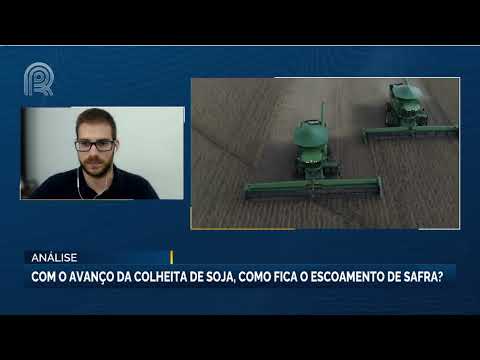 Avanço da Colheita da Soja: Como fica o escoamento da safra? | Canal Rural