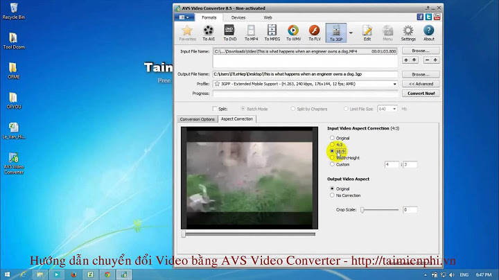 Hướng dẫn sử dụng avs video converter