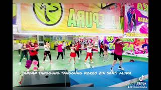 DJ JANGAN TANGGUNG TANGGUNG // clas zumba fitnes sanggar senam alyka jayapura // senam kreasi //