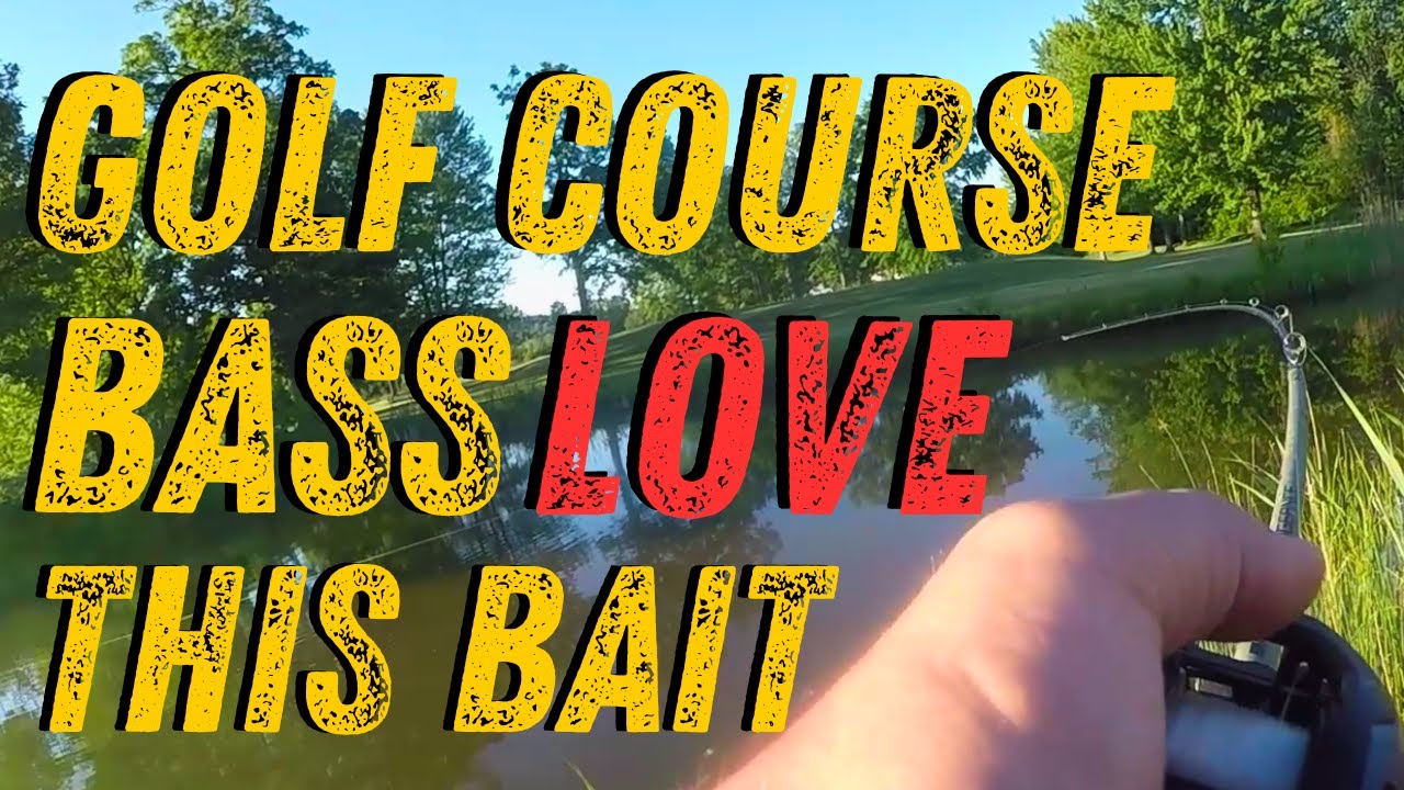 Golf Course Bass LOVE Spinnerbaits – Bank Fishing New York