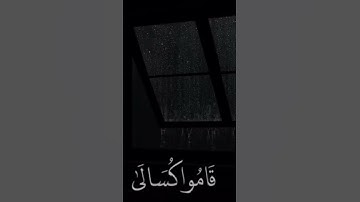 محمد اللحيدان ‏سورة النساء #قران #islam #اللحيدان #محمداللحيدان