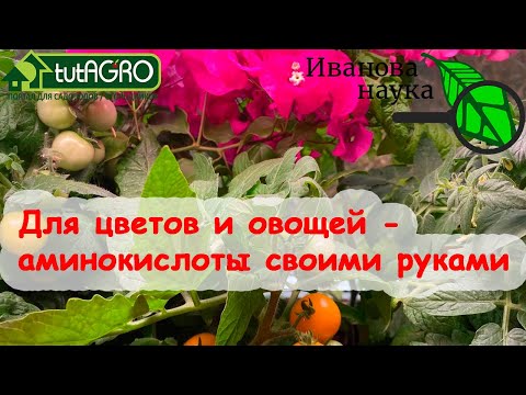 В 50 РАЗ ДЕШЕВЛЕ АМ-КОНЦЕНТРАТ СВОИМИ РУКАМИ. Аминокислотный витаминный комплекс - домашний рецепт.