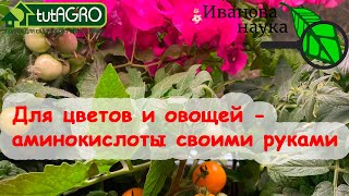 В 50 РАЗ ДЕШЕВЛЕ АМ-КОНЦЕНТРАТ СВОИМИ РУКАМИ. Аминокислотный витаминный комплекс - домашний рецепт.