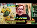 #ЕЙСК, #ДАЧИ часть 2 от 24.01     Мои запасы продуктов! Собакены. Семена новых декоративных тыкв.