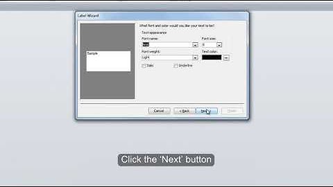 Microsoft Access:  How to Create Mailing Labels