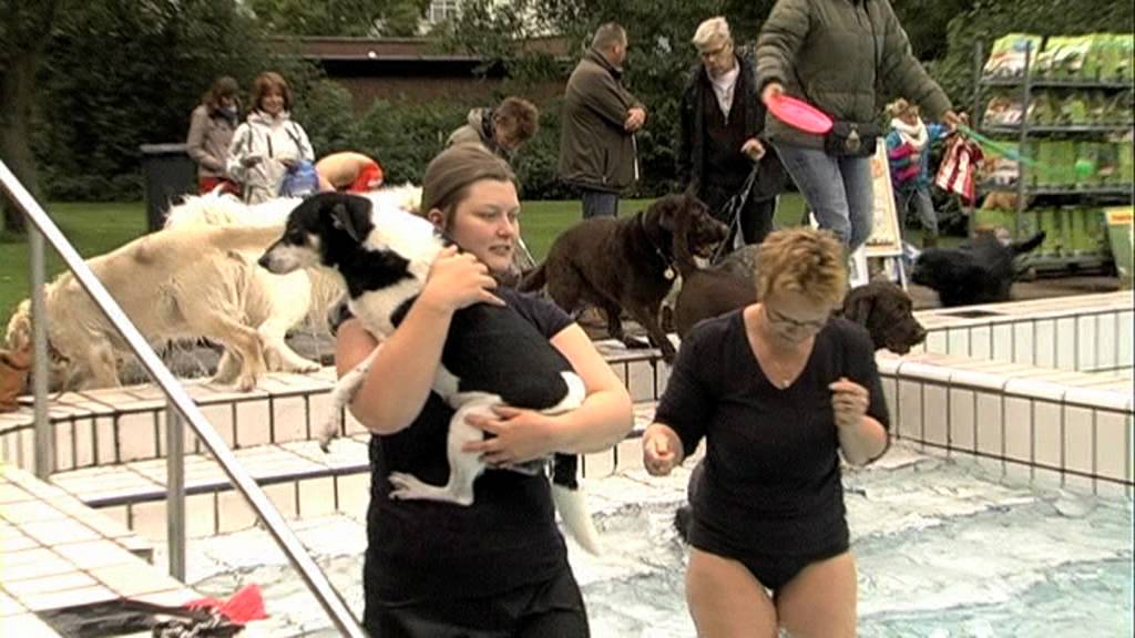 reportage honden zwemmen in de Fluit