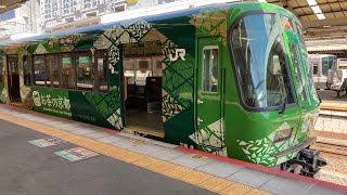 221系NC604編成　「お茶の京都トレイン」　京都駅入線&発車シーン