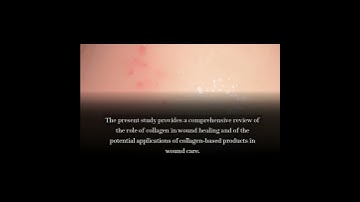 Collagen in Wound Healing | RTCL.TV