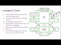 AP Biology Review Unit 14: Genetics of Viruses and Bacteria