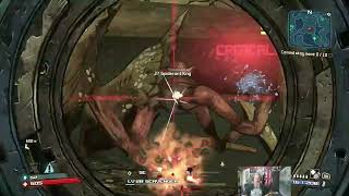 08/13/2025 - Borderlands   -  Working to become a Twitch Partner.