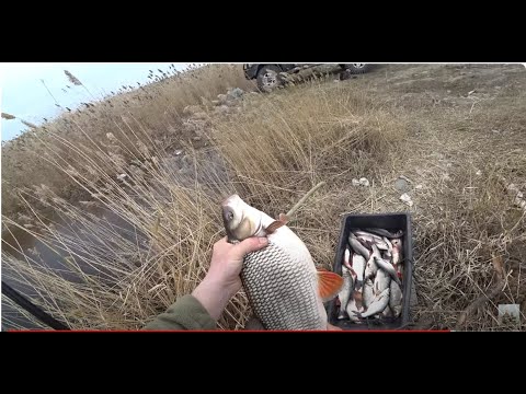 Видео: Язь на железяку, на каждом забросе. Рыбалка в дикой Сибири