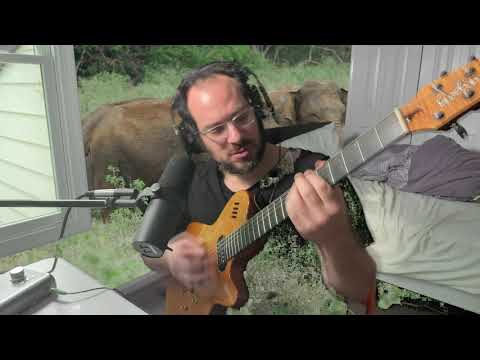 Everybody's Got To Forget Sometimes (improvised) | Song A Day #4161
