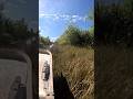 Everglade Airboat Ride #shorts