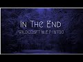 In the end    wildcraft  mep  introduction 