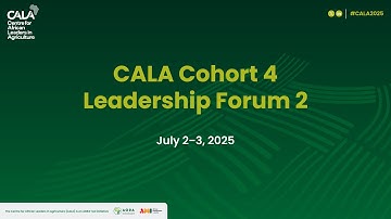 Learning and Next Steps