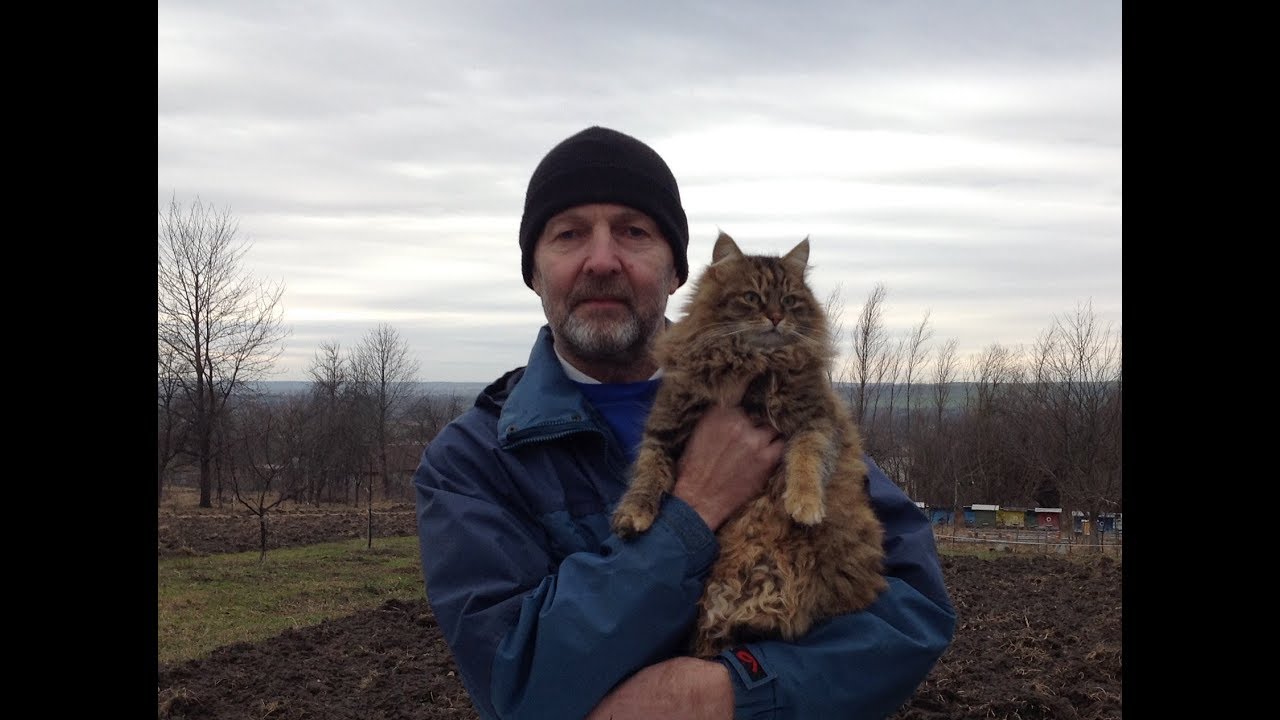 Час утеплювати бджоли. (14.02.2020р.)