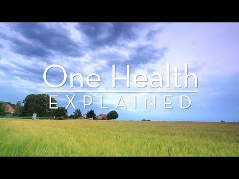 Vidéo: Un Point De Vue Vétérinaire Sur One Health In The Arctic