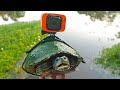 I Strapped a GoPro on Tank the Turtle!