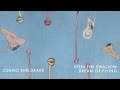 Cosmo sheldrake  does the swallow dream of flying