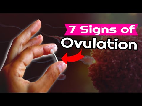 Vidéo: 6 façons de savoir quand vous ovulez