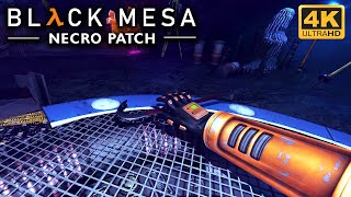 〈4K〉Black Mesa: Definitive Edition - Necro Patch - No HUD Xen Walkthrough - No Commentary GamePlay