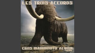 Video thumbnail of "Les Trois Accords - Vraiment beau"