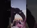 ان خلجت كثرت اصوات الملبين لبييه ي سود السناد الضهيره