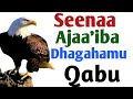 Seenaa Ajaa Ibaa Dhaggeeffatamu Qabu