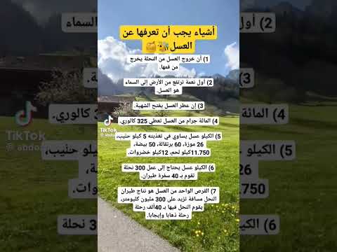 العسل عسل النحل معلومات عن العسل معلومات نصائح نصائح وإرشادات مجانية
