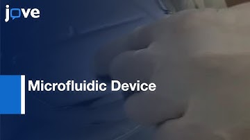 Gradient-Generating Microfluidic Device For Cell Biology l Protocol Preview