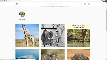Follow/Unfollow Instagram FREE bot (Chrome extension) | Read the description!