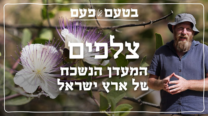 איך ללקט ולהכין צלפים? | בטעם של פעם