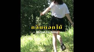 กลิ่นดอกไม้ - Newery ( Speed Up Song )