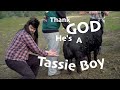 Thank god im a tassie boy  country boy parody