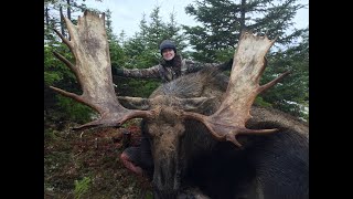 Trish and Trent&#39;s Moose Hunt