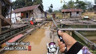 MOMEN LANGKA..!! TARIKAN SUPER BERAT MEMBUAT JORAN HAMPIR PATAH SAAT MANCING BAUNG