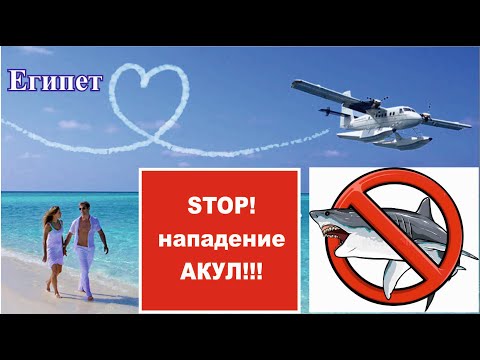 STOP! Нападение АКУЛ, Египет, Шарм, Хургада, ТОП отели где есть защита от акул и опасных обитателей