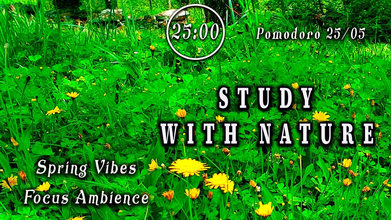 POMODORO 25/5🕒Intense Study 🌳Spring Ambience to Increase Productivity & Focus 📚 Productive Deep Work