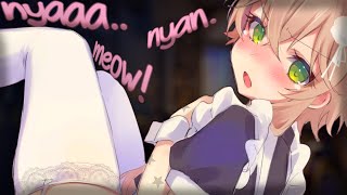 Shy Femboy Catboy Loses Bet And Becomes Yours.. (Tsundere Asmr Rp) (M4M) (Maid) (Msub)