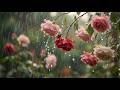 Soft Rain in a Peaceful Garden 🌧️ Calm Rain Sounds for Deep Sleep #012