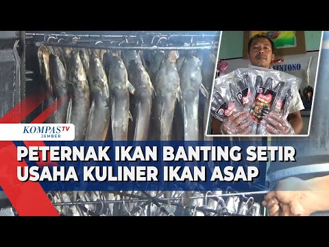 Cara Bikin Ikan Lele Asap