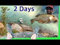 Catch and Cook Overnight fishing trip Andy Fisher man EP.342