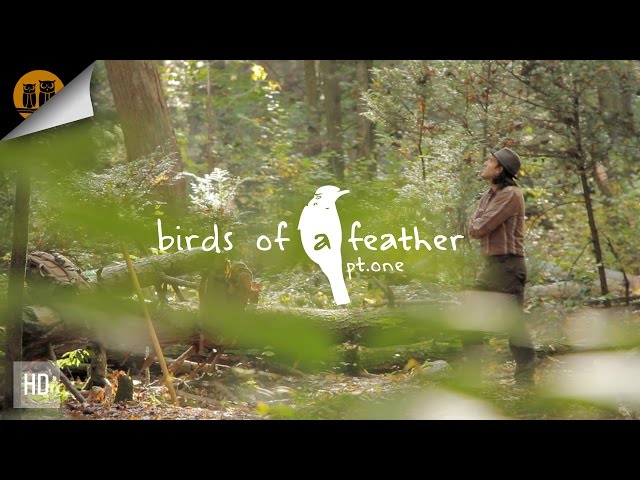Birds of a Feather: Part 1 | Autumn Day Hike